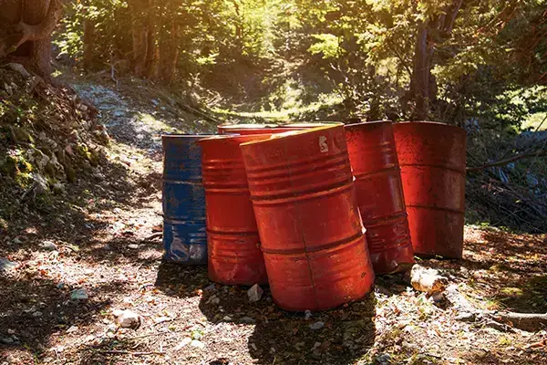 A collection of oil drums dumped in a woodland area, posing environmental risks before hazardous waste disposal by NWE Waste Services Ltd.